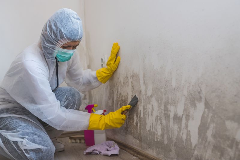Mold Prevention Strategies