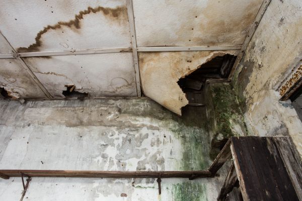 Cost of Water Damage Service in Englewood
