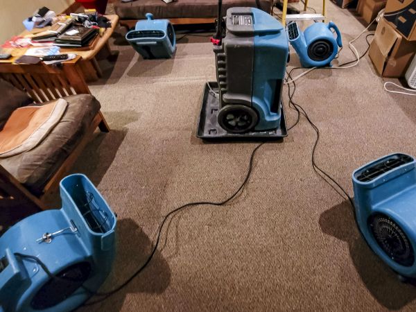 Cost of Flood Damage Recovery in Englewood