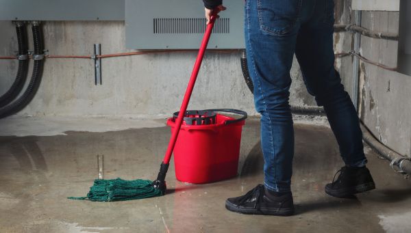 Cost of Flooded Basement Cleanup in Englewood