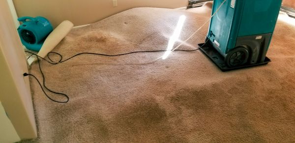 Cost of Flood Damage Cleanup in Englewood