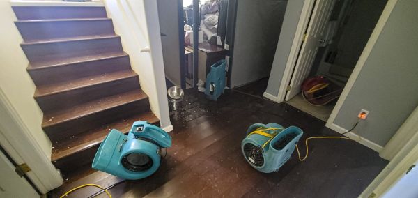 Cost of Water Damage Remediation in Englewood
