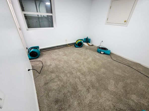 Cost of Flood Restoration Service in Englewood