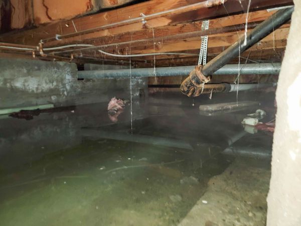 Cost of Water Mitigation Service in Englewood