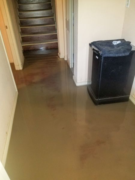 Cost of Emergency Water Removal in Englewood