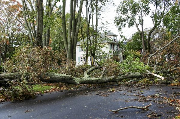 Cost of Tornado Damage Repair in Englewood