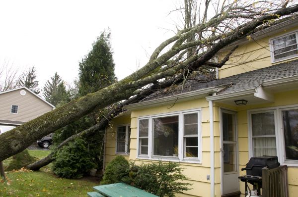 Cost of Hurricane Damage Repair in Englewood